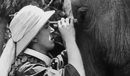 Roughest Africa photo