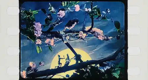 La voix du rossignol scene