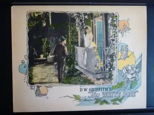 The White Rose scene