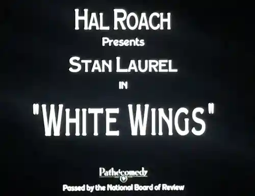 White Wings photo