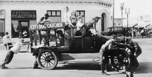 Alice and the Dog Catcher scene