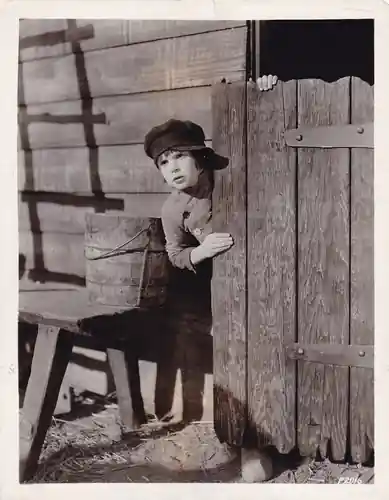 A Boy of Flanders photo