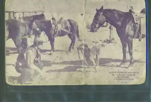The Heritage of the Desert photo