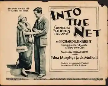 Into the Net photo