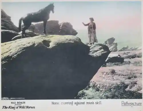 The King of Wild Horses photo