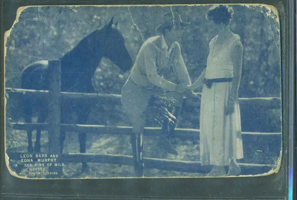The King of Wild Horses
