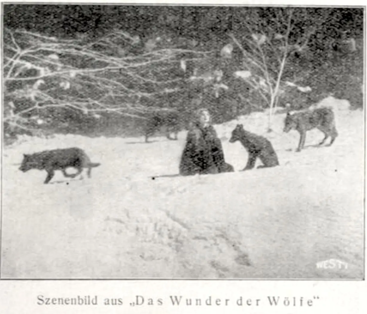 Miracle of the Wolves