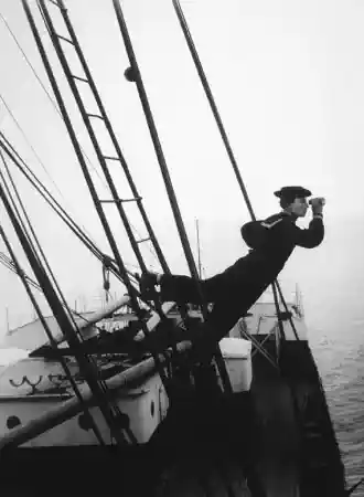 The Navigator photo