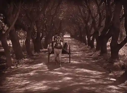 The Red Lily scene