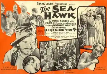 The Sea Hawk photo