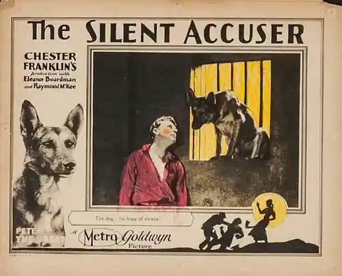 The Silent Accuser scene