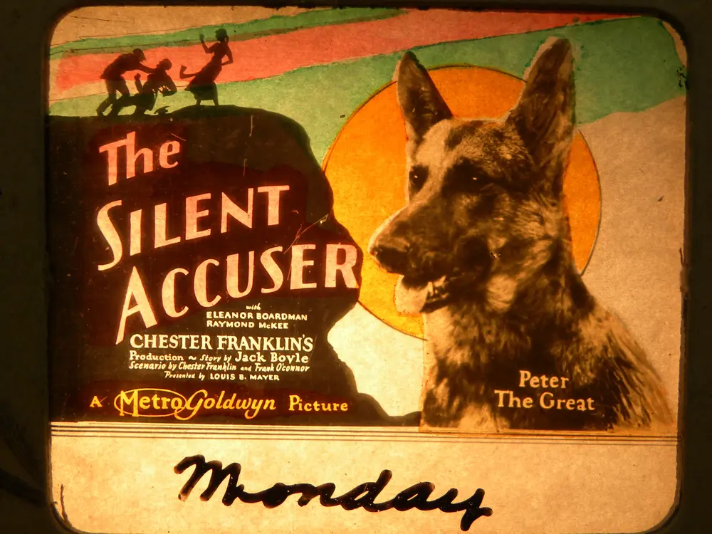 The Silent Accuser