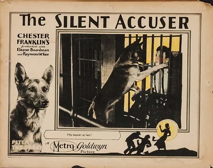 The Silent Accuser