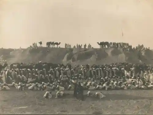 A Son of the Sahara photo