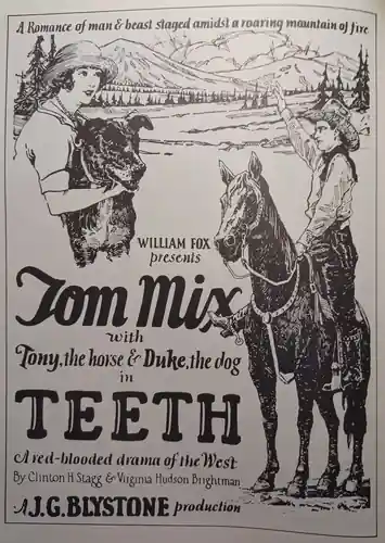 Teeth photo