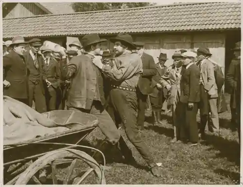 Trollebokungen photo
