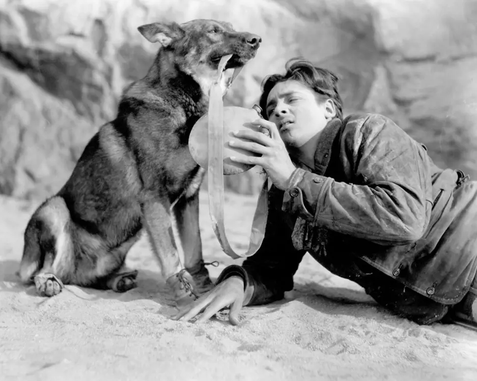 Clash of the Wolves scene 2