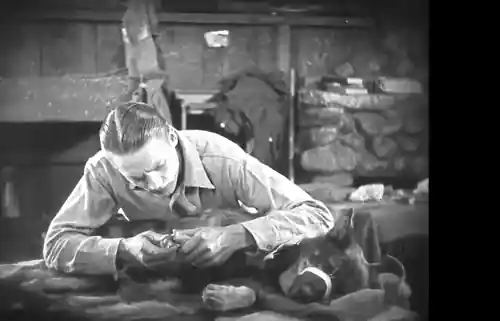 Clash of the Wolves scene