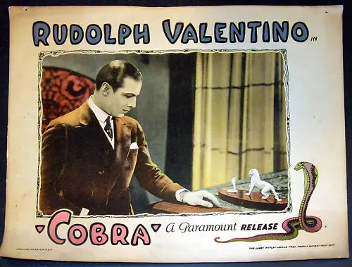 Cobra scene