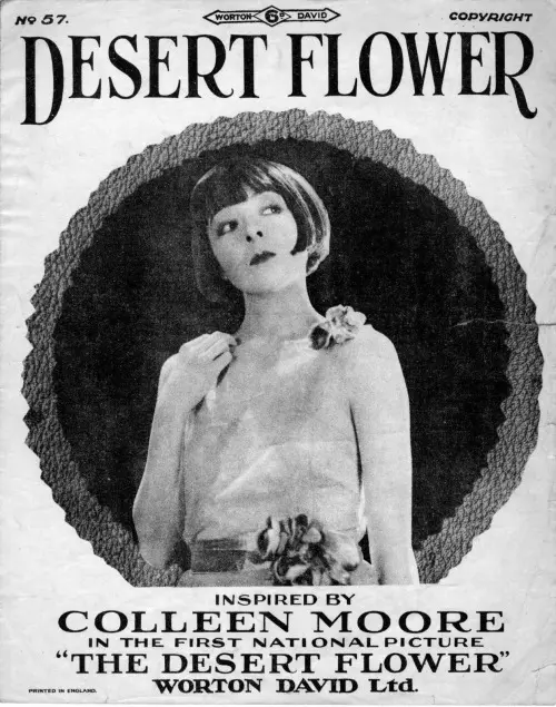 The Desert Flower scene 2