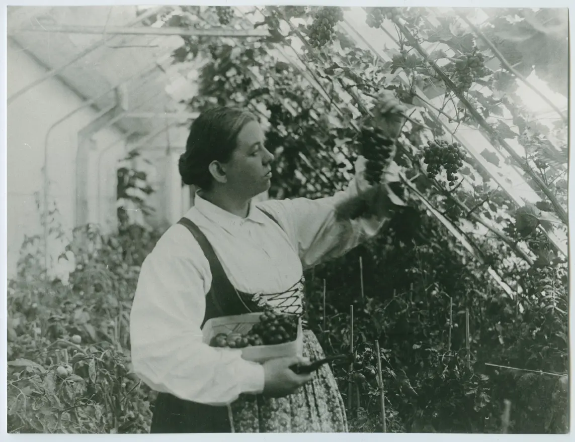 Den gamla herrgården photo