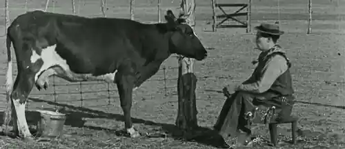 Go West scene