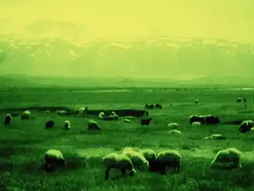 Grass: A Nation's Battle for Life scene