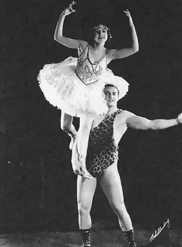 The Great Circus Mystery