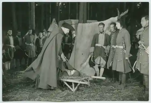 Charles XII photo