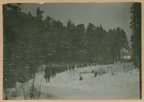 Charles XII photo