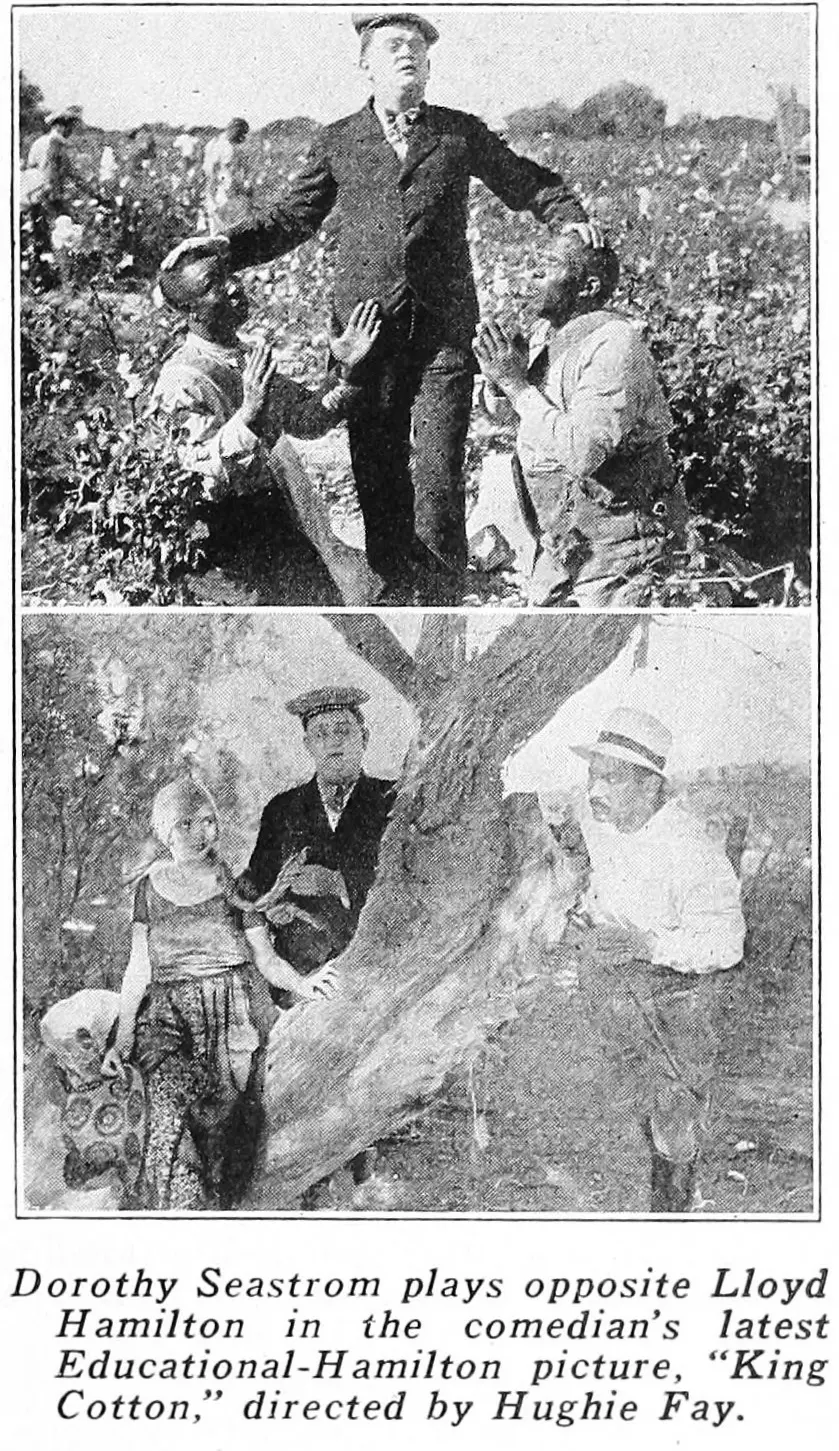 King Cotton scene