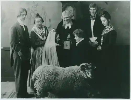 Ett köpmanshus i skärgården photo