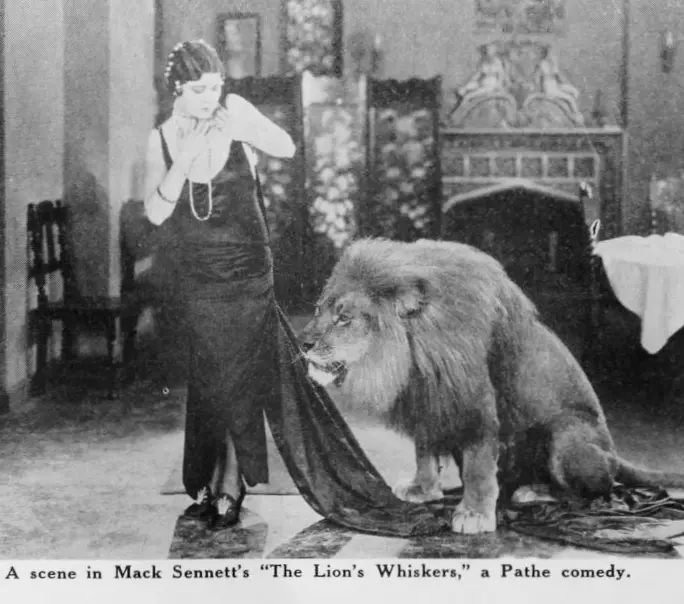 The Lion's Whiskers scene