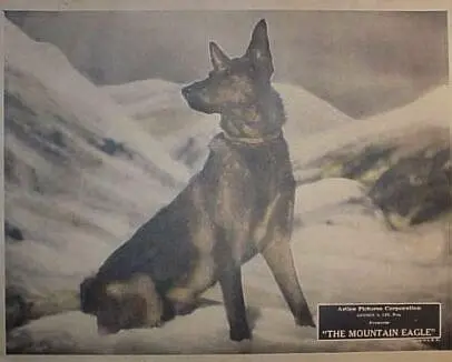 The Mountain Eagle scene