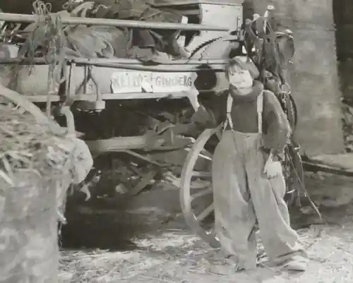The Rag Man photo
