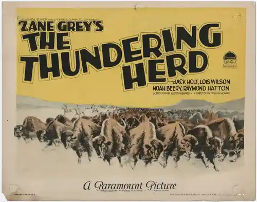 The Thundering Herd photo