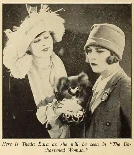 The Unchastened Woman photo