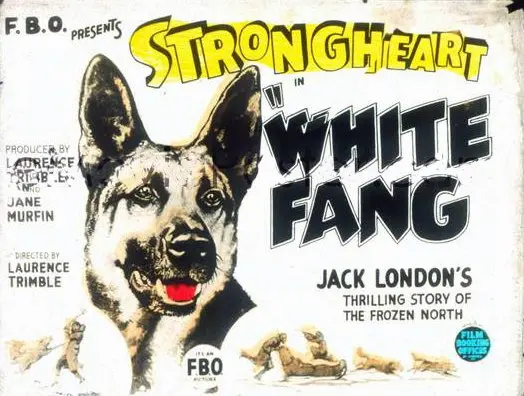 White Fang