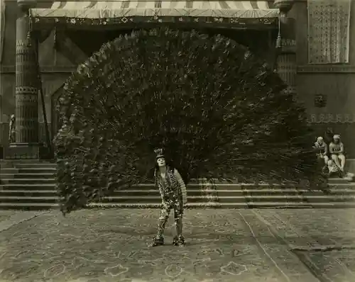 The Wizard of Oz
