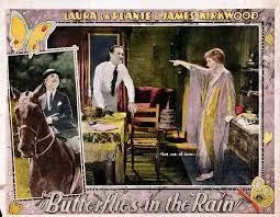 Butterflies in the Rain photo