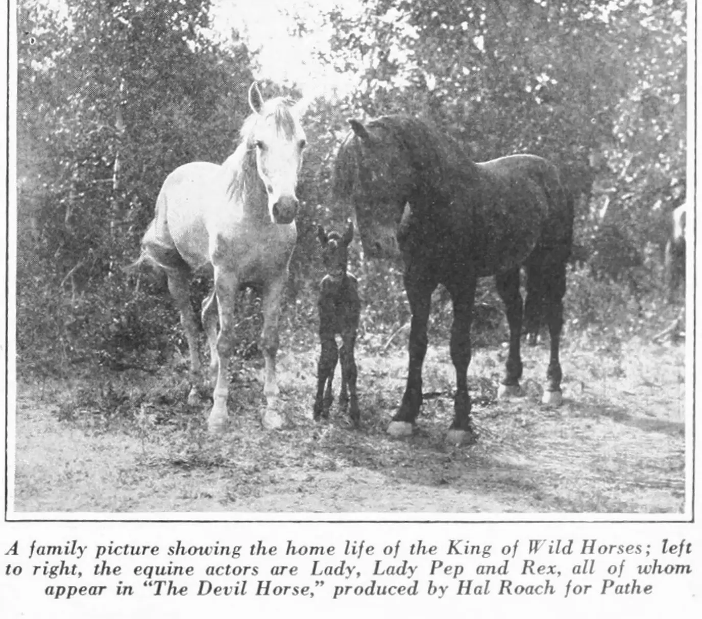 The Devil Horse scene