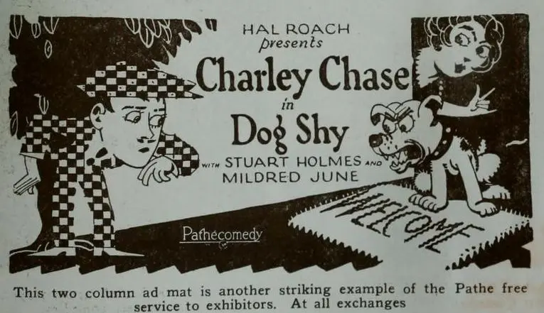 Dog Shy scene