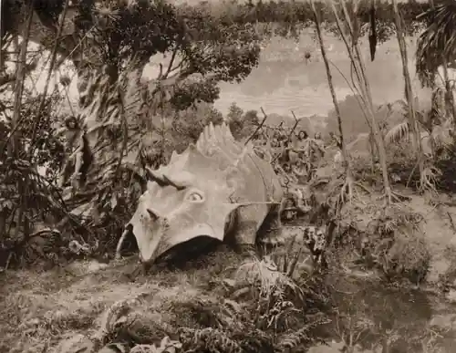 Fig Leaves photo