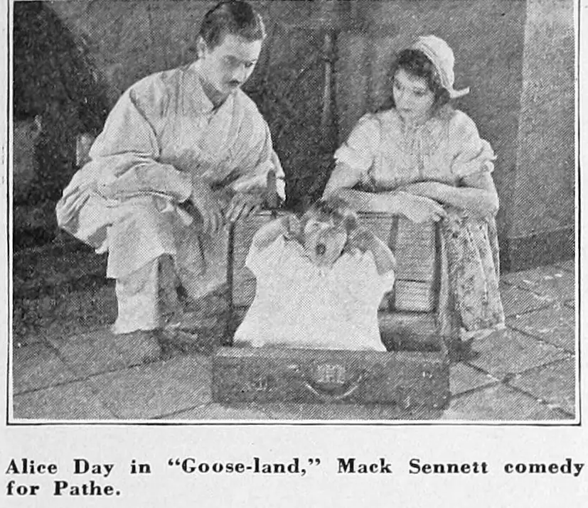 Gooseland scene