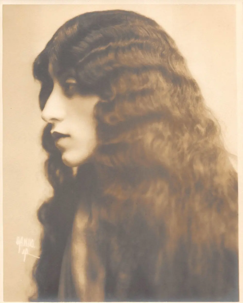 The Lily photo