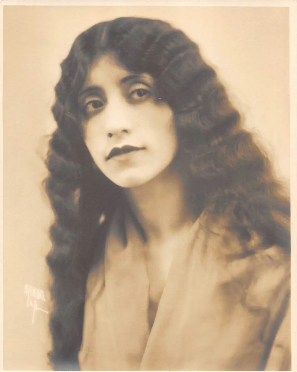 The Lily photo