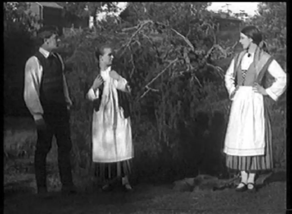 Murtovarkaus scene