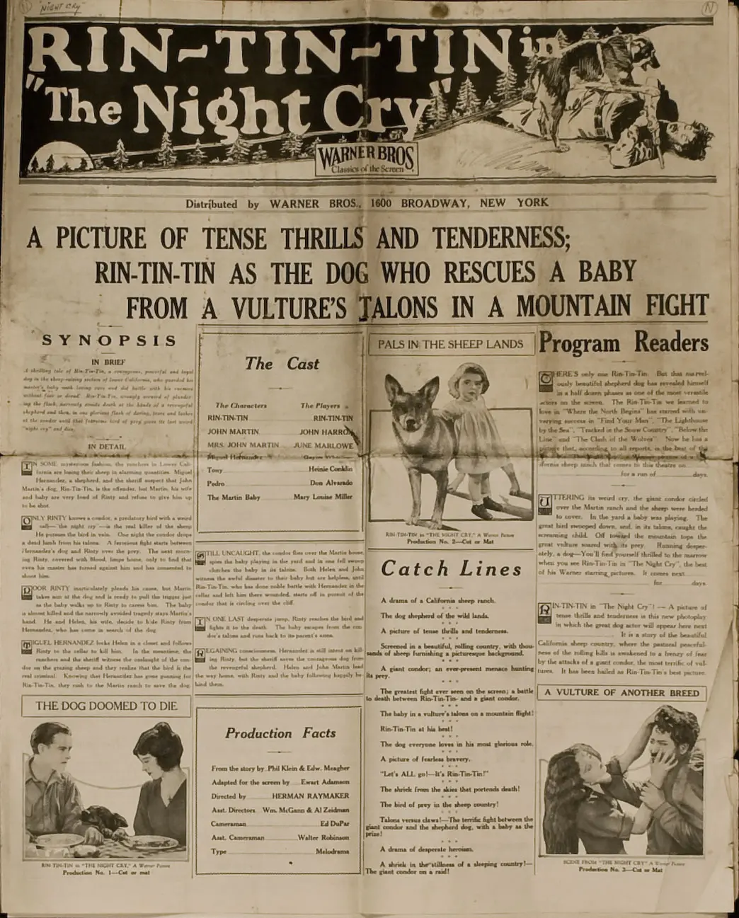 The Night Cry scene