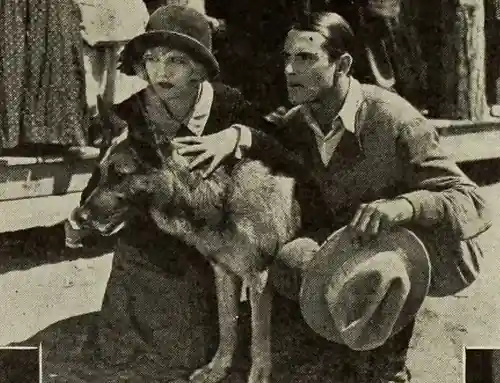 North Star photo