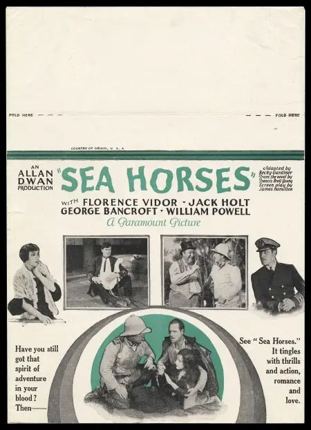 Sea Horses scene